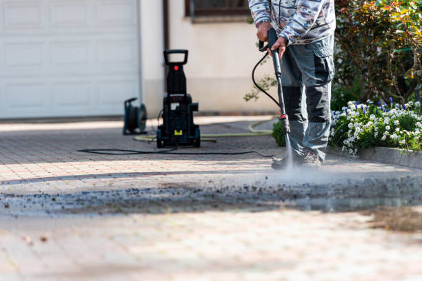 Best Pressure Washing Near Me  in Adelino, NM